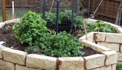 keyhole gardening