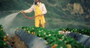 New Pesticide-Autism Study Has Parents Scared And Alarmed