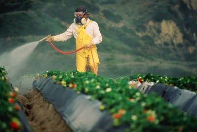 Pesticide-Autism Should Have Moms Scared