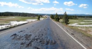 Yellowstone Supervolcano Is Liquefying Roads And Turning ‘Asphalt Into Soup’