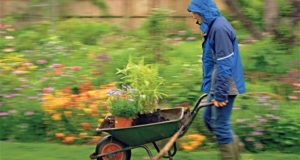 Wet Weather Gardening: 6 Tips When The Rain Just Won’t Go Away