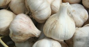 Grow Garlic This Fall For Your Taste Buds — And Health