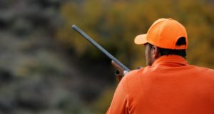The 4 Very Best Calibers For Hunting Big Game