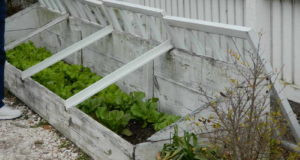 Maximize Your Growing Season And Beat Old Man Winter With A Cold Frame Garden