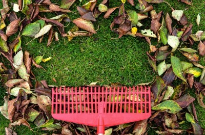5 Must-Do Garden Chores Before Winter Arrives