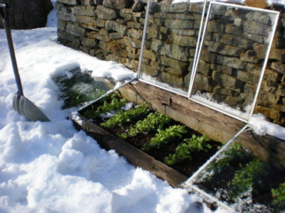 cold weather gardening