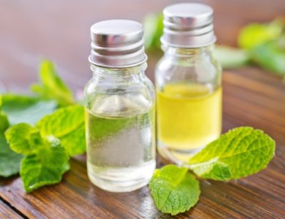 7 Powerful And Surprising Medicinal Uses For Mint
