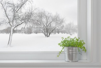 Beat The Winter Doldrums With Indoor Herbs