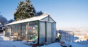 The Very Best Vegetables To Grow In An Unheated Greenhouse