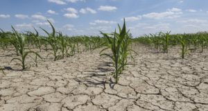 Scientists: Worst Drought in 1,000 Years Threatens U.S. Food Supply