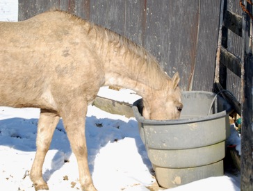 6 Winter Tricks That Keep Livestock Water From Freezing