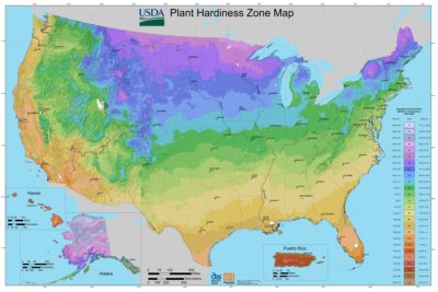 hardiness zone planthardiness USDA