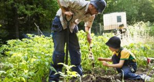9 Ways To Take Your Self-Sufficiency To The Next Level