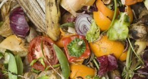 5 Clever And Unique Ways To Reuse Old Food Scraps