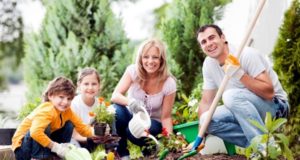 Get Paid To Re-Mineralize Your Garden Soil?