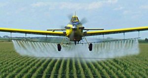 Major New Report Confirms Your Worst Fears About Roundup, America’s Food