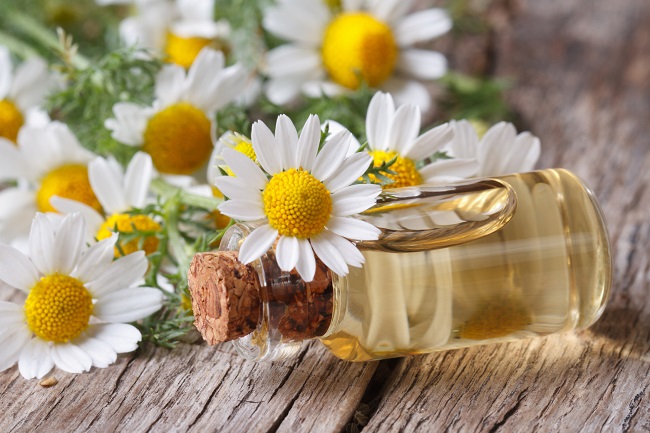 Image result for chamomile essential oil
