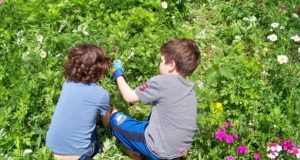 Pick Spring Herbs And Turn Your Child Into An Off-Grid Nature Lover