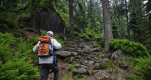 The 5 Most Important Survival Skills When You’re Lost In The Wilderness