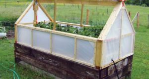 8 Inexpensive DIY Greenhouse Ideas Anyone Can Build