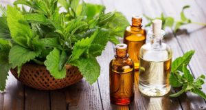 8 Incredible Off-Grid Ways Peppermint Oil Can Heal