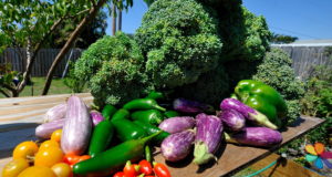 4 Fool-Proof Steps To More Nutrient-Dense Vegetables In Your Garden