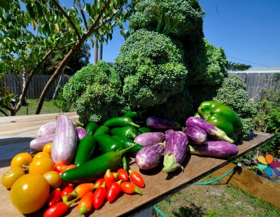 Image source: womenpla.net. garden gardening colorful vegetables