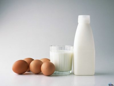 storage of milk and eggs