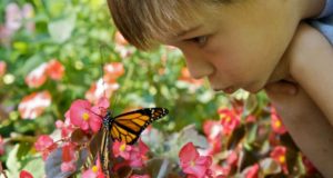 4 Simple Ways To Cure Nature Deficit Disorder In Your Kids