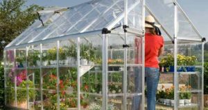 4 Must-Ask Questions Before You Build Your Own Greenhouse