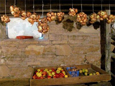 root cellar