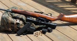 The 5 Very Best Rifles For Small Game