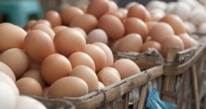 Should You Refrigerate Eggs? (The Answer May Surprise You)