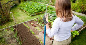 7 Benefits Of Gardening (That Have Nothing To Do With Vegetables)