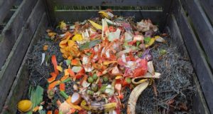 Composting: Everything You Wanted To Know (But Didn’t Want To Ask)