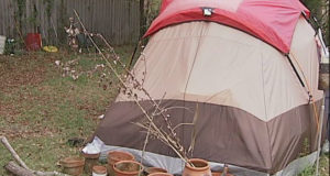 City Bans Woman From Living In Tent ON HER OWN PROPERTY