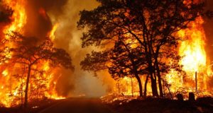 8 Ways To Protect Your Home From Out-Of-Control Wildfires