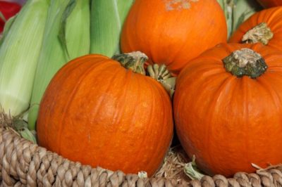 10 Unique Ways To Use A Pumpkin This Fall