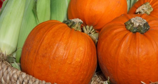 Unique Off-Grid Ways You Can Use A Fresh Pumpkin This Fall