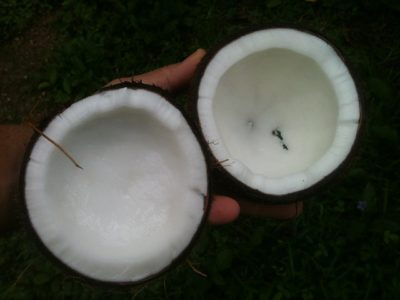 14 Off-Grid Ways Coconut Oil Heals, Freshens And Even Prevents Rust