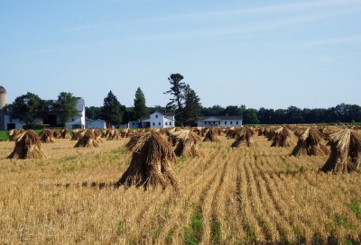 Amish Community 