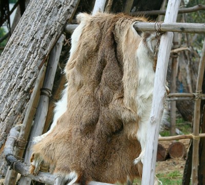 The Easiest Way To Preserve And Tan Hides