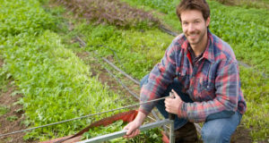 How To Make $150,000 Annually On A 1.5 Acre Farm