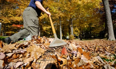 Essential Pre-Winter Chores Most Gardeners Simply Forget