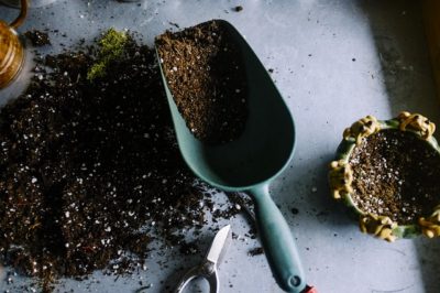 Here's The Best Use For Your Old Potting Soil