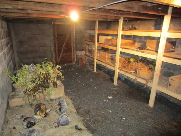 Build Your Own underground Root Cellar - YouTube