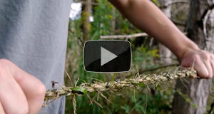 Survival Tip – How To Make Rope From Grass