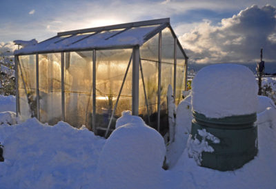 Fool-Proof Tips For Successful Winter Gardening