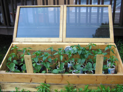 Everything You Wanted To Know About Cold Frames (But Were Embarrassed To Ask)