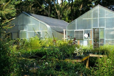 6 Natural Ways To Make An Unheated Greenhouse Warm